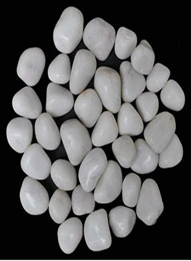 Maalavya White Pebbles Medium Size Glossy Stones (1 KG) Decorative Item for Diwali